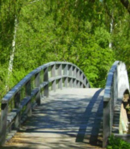 bridge2